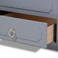 Mariana Traditional Transitional Grey Finished Wood Twin Size 3-Drawer Storage Bed with Pull-Out Trundle Bed FredCo