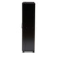 Marine Modern and Contemporary Wenge Dark Brown Finished 2-Door Wood Entryway Shoe Storage Cabinet with Open Shelves FredCo