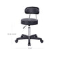 Massage Salon Spa Stool FredCo