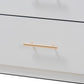 Mirza Modern and Contemporary White Finished Wood 5-Drawer Twin Size Storage Bed with Pull-Out Desk FredCo