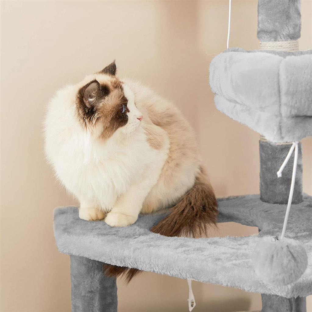 Multi-Level Cat Condo FredCo