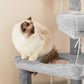 Multi-Level Cat Condo FredCo