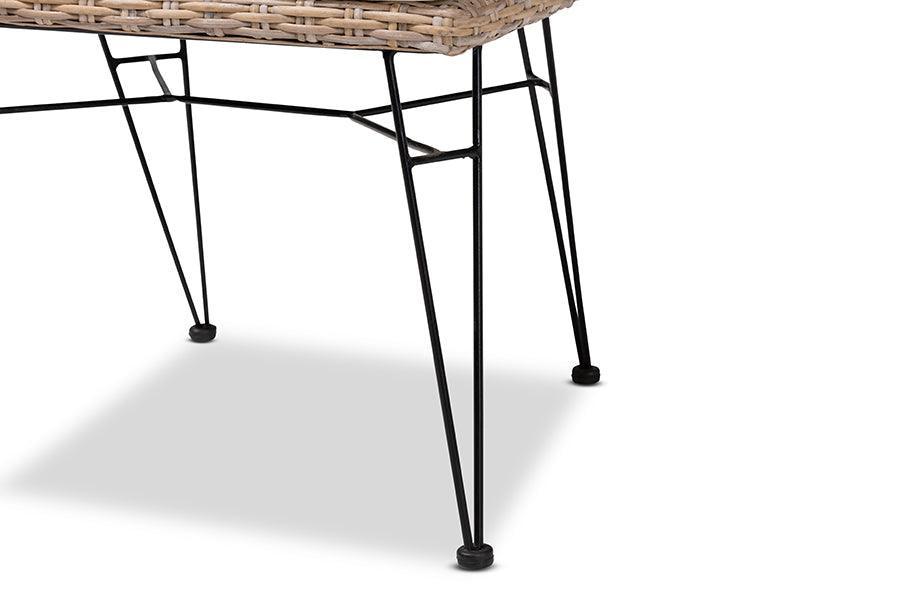 Nafaro Modern Bohemian Grey Natural Rattan Metal Dining Chair with Cushion 2-Piece Set FredCo