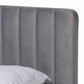 Nami Modern Contemporary Glam and Luxe Light Grey Velvet Fabric Upholstered and Gold Finished Queen Size Platform Bed FredCo