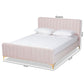 Nami Modern Contemporary Glam and Luxe Light Pink Velvet Fabric Upholstered and Gold Finished Queen Size Platform Bed FredCo