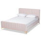 Nami Modern Contemporary Glam and Luxe Light Pink Velvet Fabric Upholstered and Gold Finished Queen Size Platform Bed FredCo