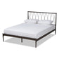 Nano Modern and Contemporary Black Finished Metal Queen Size Platform Bed FredCo