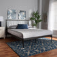 Nano Modern and Contemporary Black Finished Metal Queen Size Platform Bed FredCo