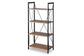 New Semester Bookshelf FredCo