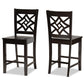 Nicolette Modern and Contemporary Transitional Dark Brown Finished Wood 2-Piece Counter Stool Set FredCo