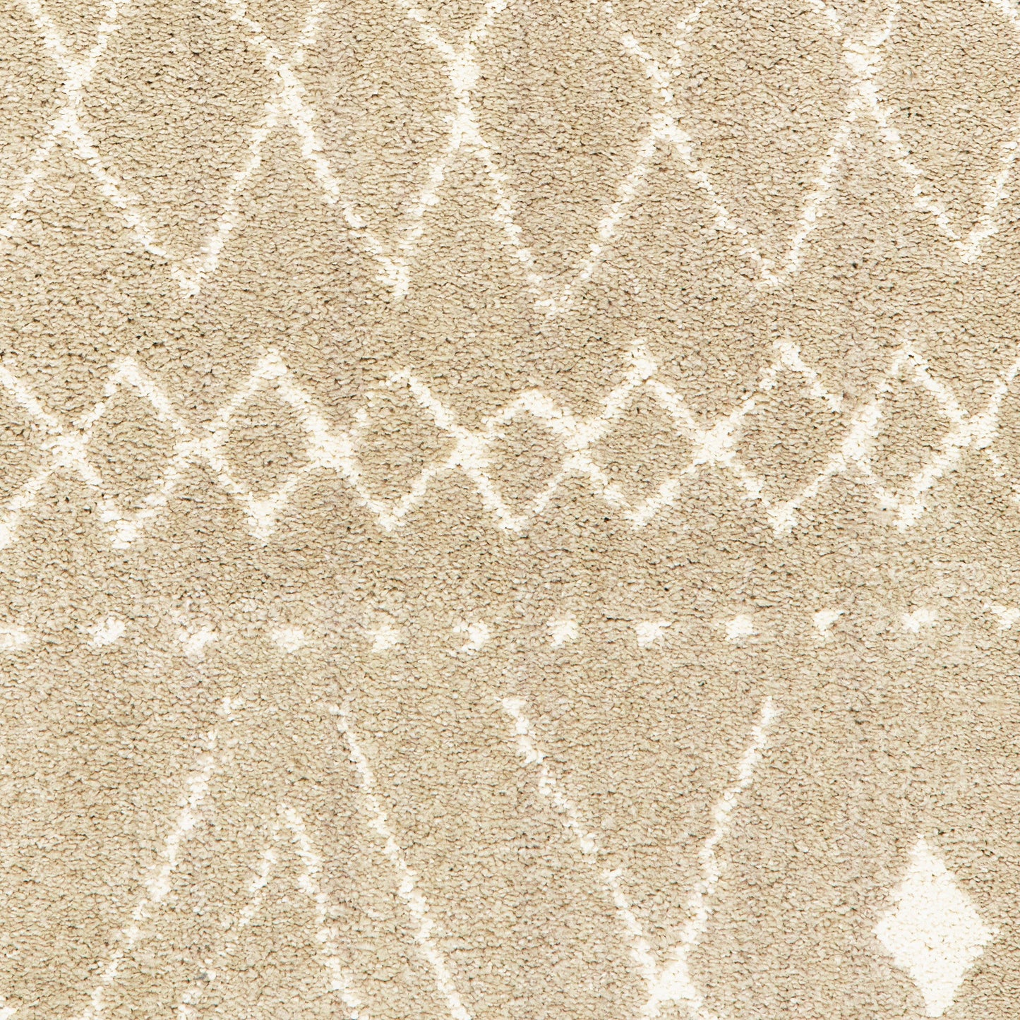 Oriental Weavers Carson 9665B Area Rug FredCo