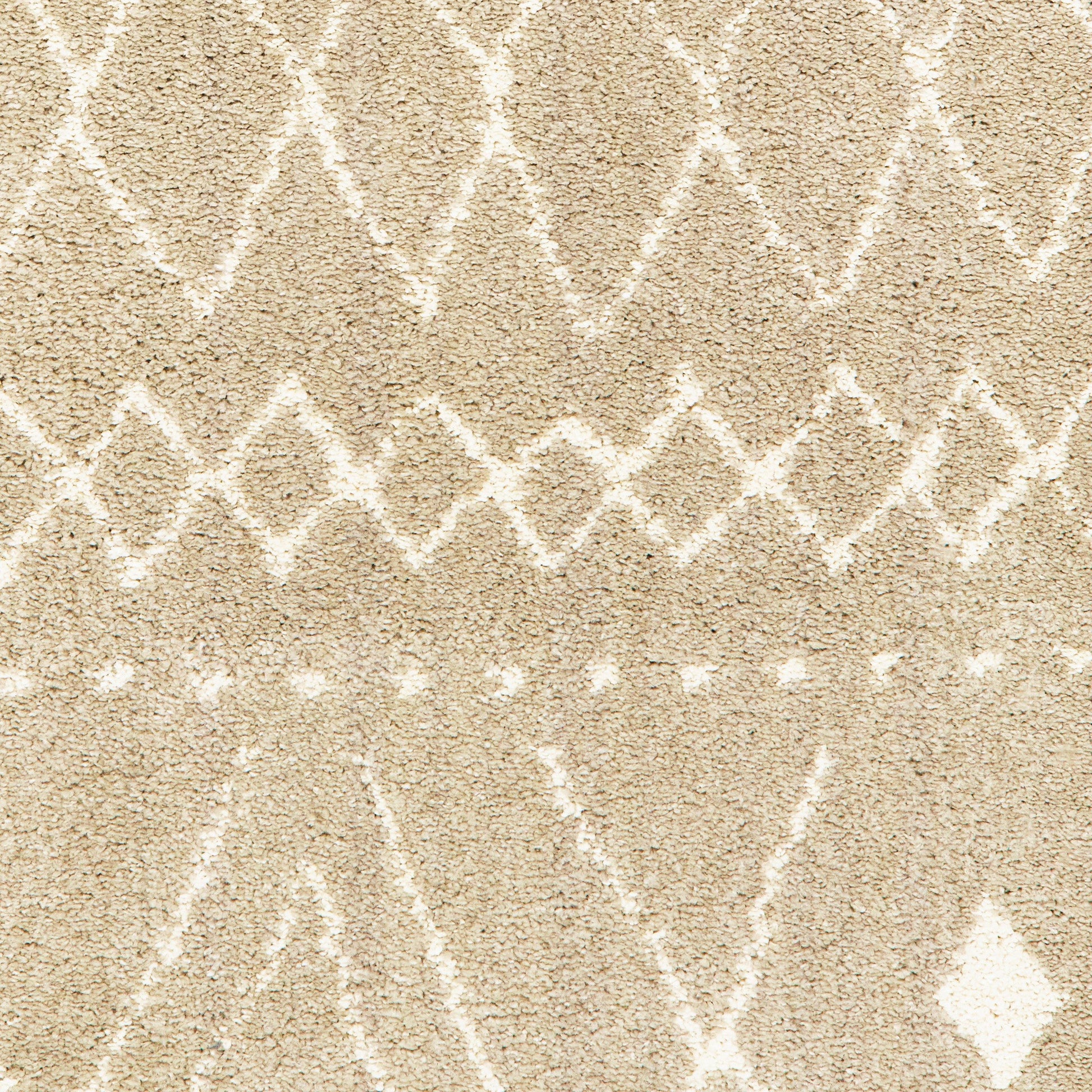 Oriental Weavers Carson 9665B Area Rug FredCo