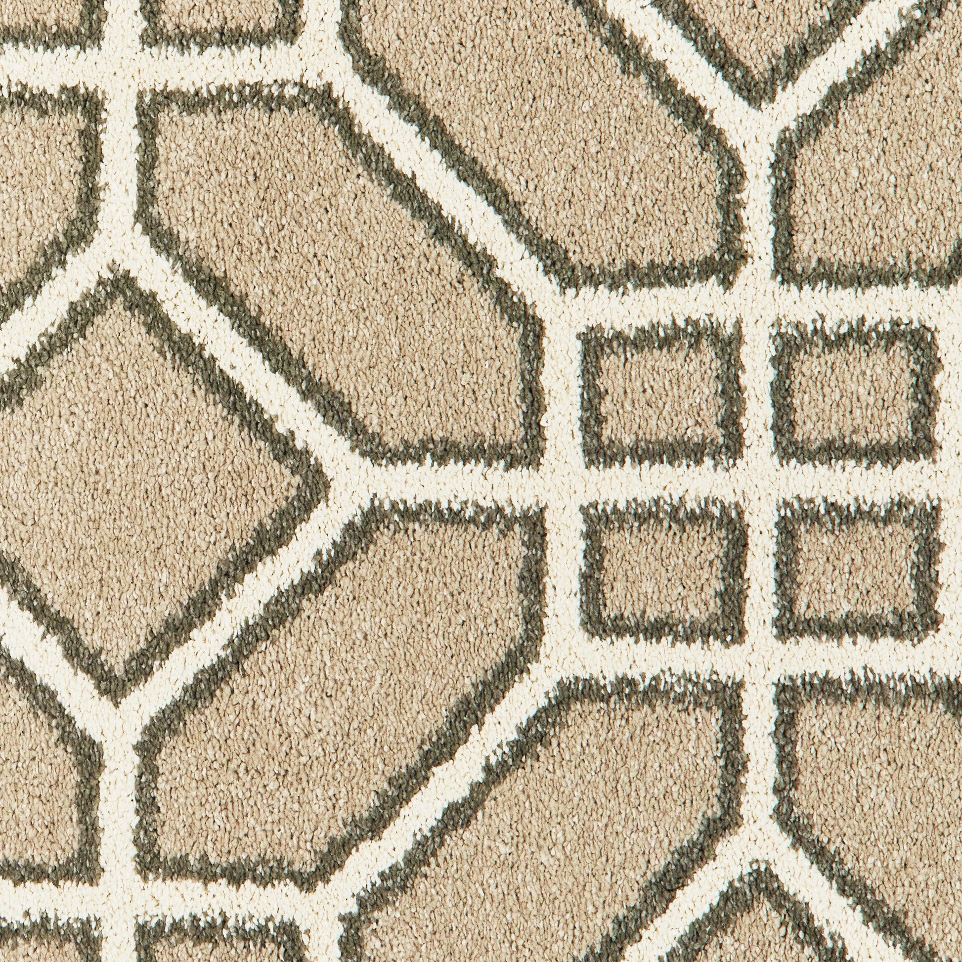 Oriental Weavers Carson 9669D Area Rug FredCo