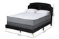 Oxley Traditional Glam and Luxe Black Velvet and Gold Metal Queen Size Panel Bed FredCo