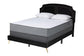 Oxley Traditional Glam and Luxe Black Velvet and Gold Metal Queen Size Panel Bed FredCo