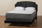 Oxley Traditional Glam and Luxe Black Velvet and Gold Metal Queen Size Panel Bed FredCo