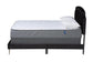 Oxley Traditional Glam and Luxe Black Velvet and Gold Metal Queen Size Panel Bed FredCo