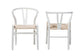 Paxton Modern White Finished Wood 2-Piece Dining Chair Set FredCo