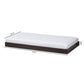 Payton Modern and Contemporary Dark Brown-Finished Twin Trundle FredCo