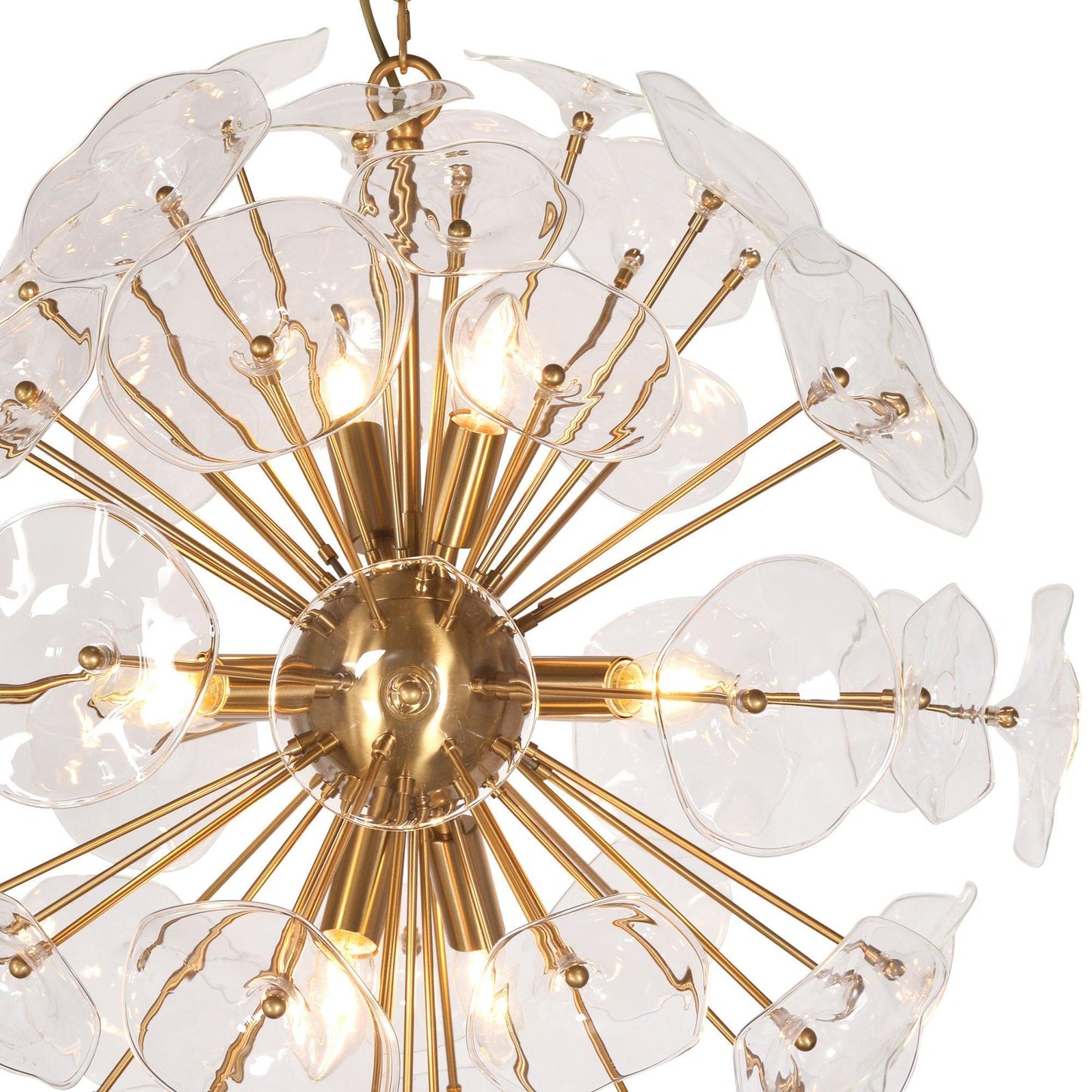Petal Burst Pendant Light ZD7629-8BR FredCo