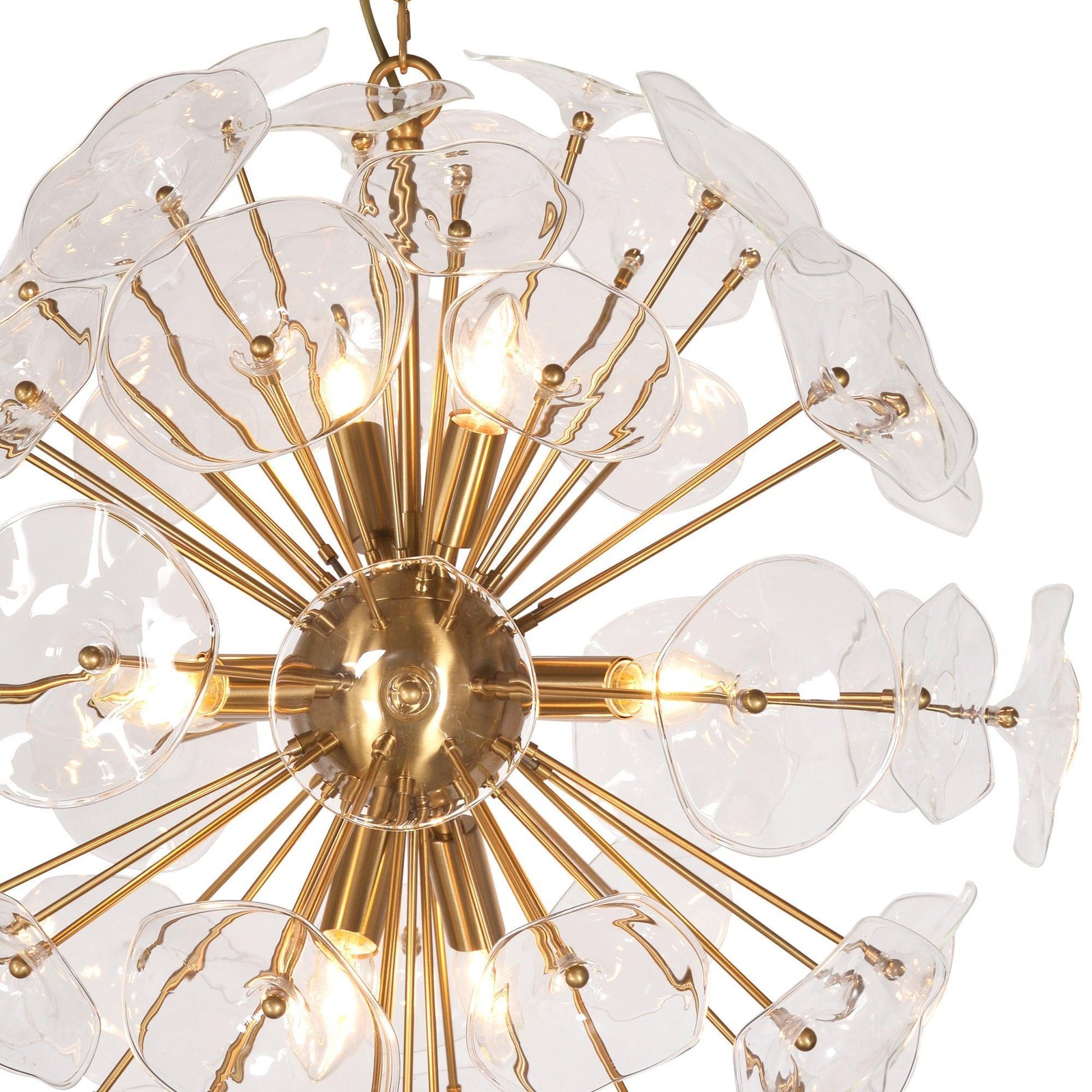 Petal Burst Pendant Light ZD7629-8BR FredCo