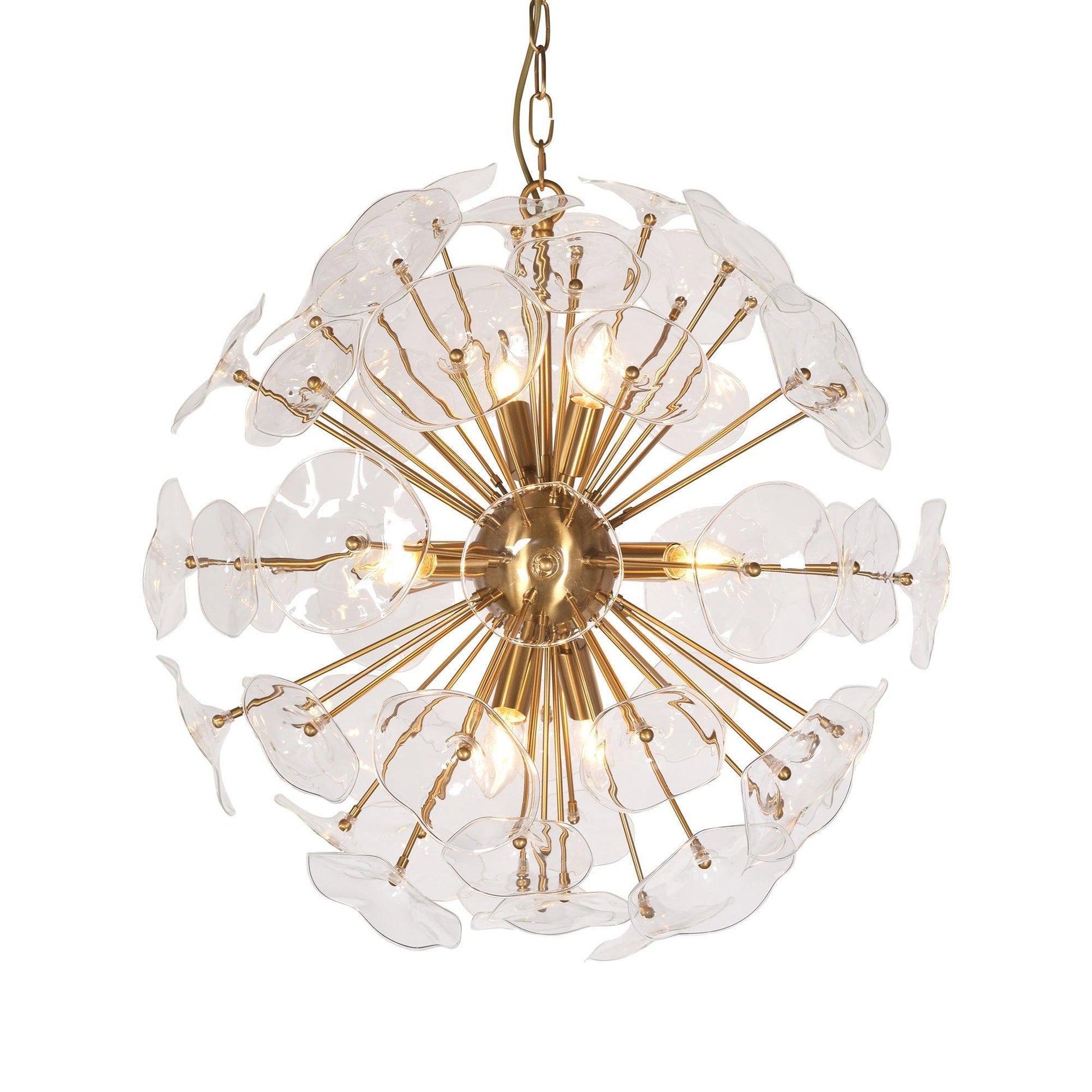 Petal Burst Pendant Light ZD7629-8BR FredCo