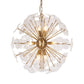 Petal Burst Pendant Light ZD7629-8BR FredCo