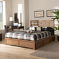 Piera Modern and Contemporary Transitional Ash Walnut Brown Finished Wood King Size 3-Drawer Platform Storage Bed FredCo
