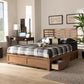 Piera Modern and Contemporary Transitional Ash Walnut Brown Finished Wood King Size 3-Drawer Platform Storage Bed FredCo