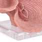 Pink Resin Coral on Acrylic Base SHI065 13 Inches FredCo