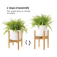 Plant Stand Natural Color FredCo