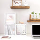 Plastic Shoe Boxes Transparent FredCo
