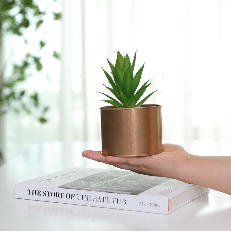 Potted Artificial Plants Set FredCo