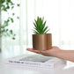 Potted Artificial Plants Set FredCo