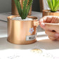 Potted Artificial Plants Set FredCo