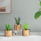 Potted Artificial Plants Set FredCo