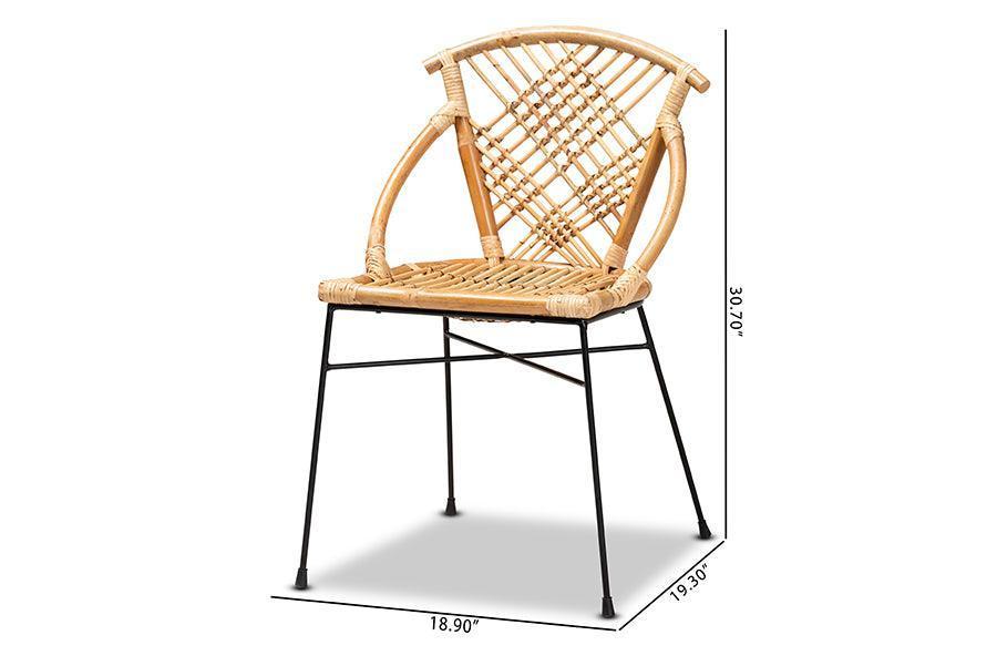 Pro Modern Bohemian Natural Brown Rattan and Black Metal 2-Piece Dining Chair Set FredCo