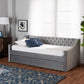 Raphael Modern and Contemporary Grey Velvet Fabric Upholstered Twin Size Daybed with Trundle FredCo