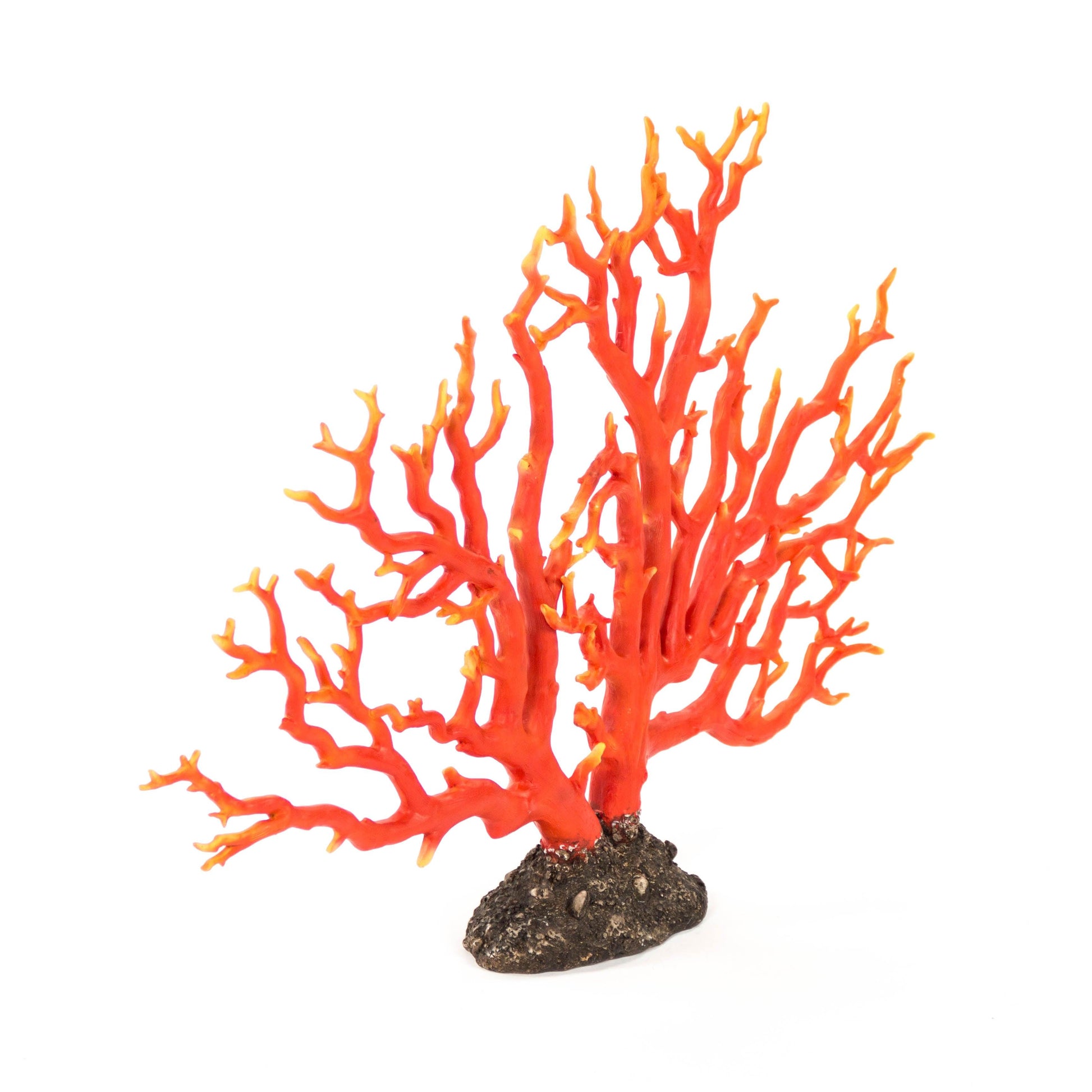 Red Coral 30" Sculputre SHI029 FredCo
