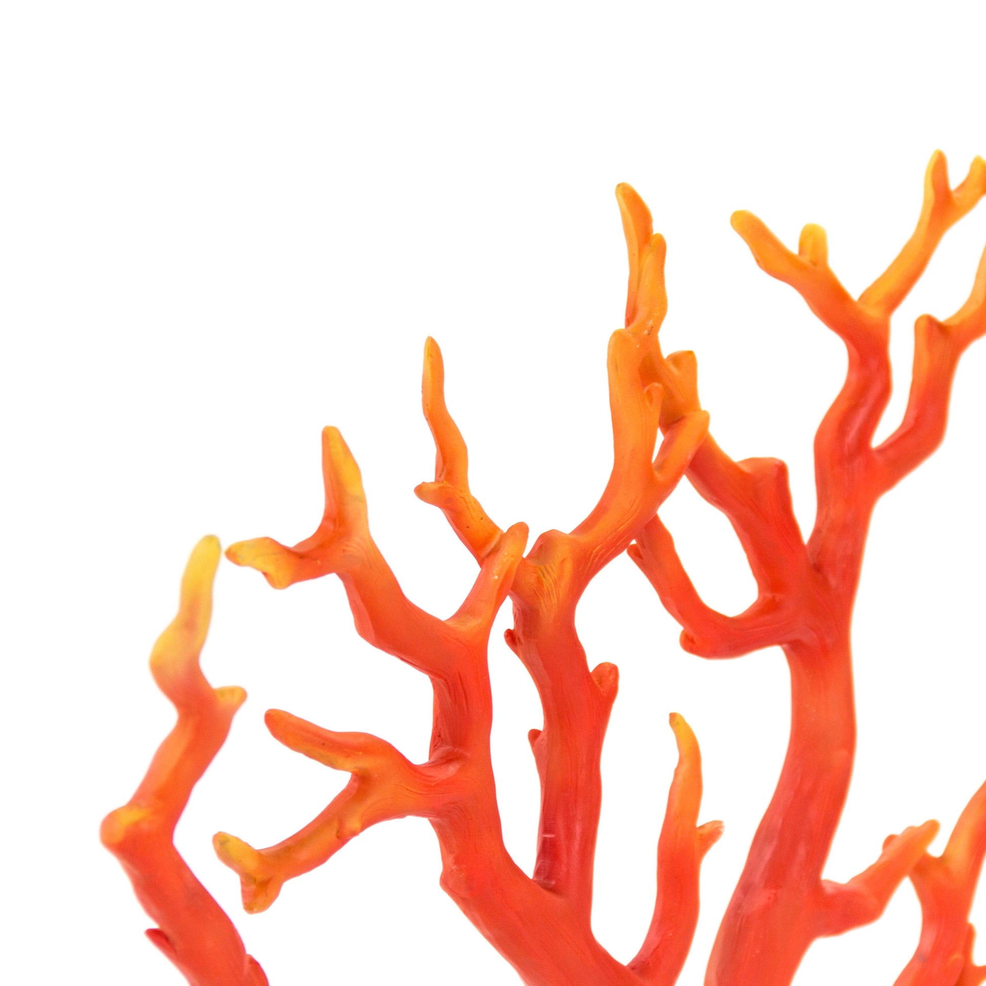 Red Coral 30" Sculputre SHI029 FredCo