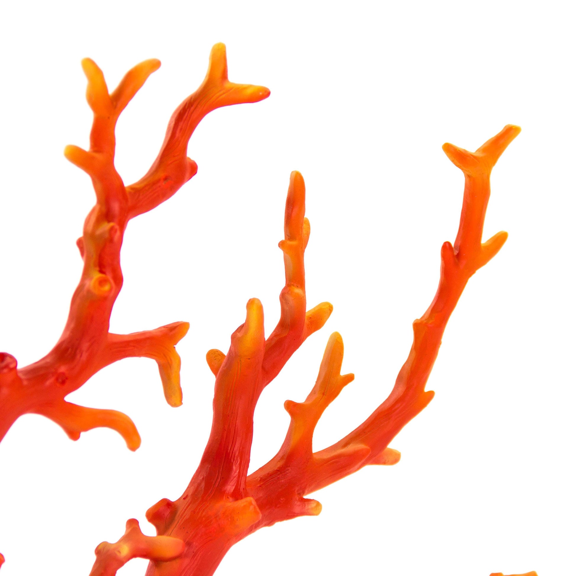 Red Coral SHI028 FredCo