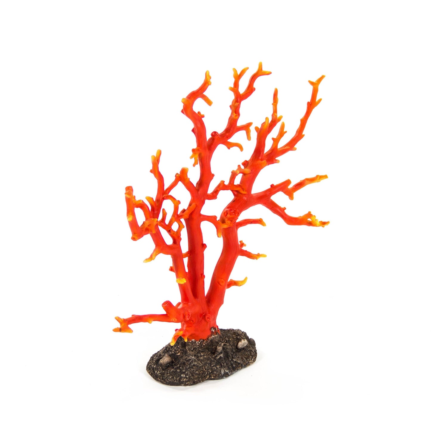Red Coral SHI028 FredCo