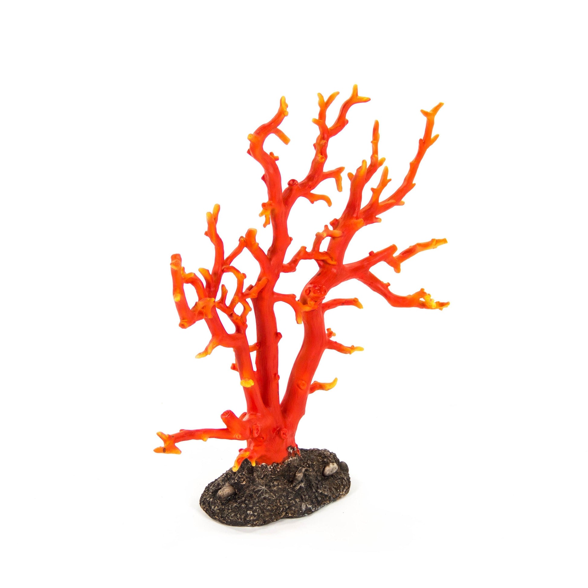 Red Coral SHI028 FredCo