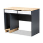 Reed Mid-Century Modern 2-Drawer Multicolor Wood Computer Desk FredCo
