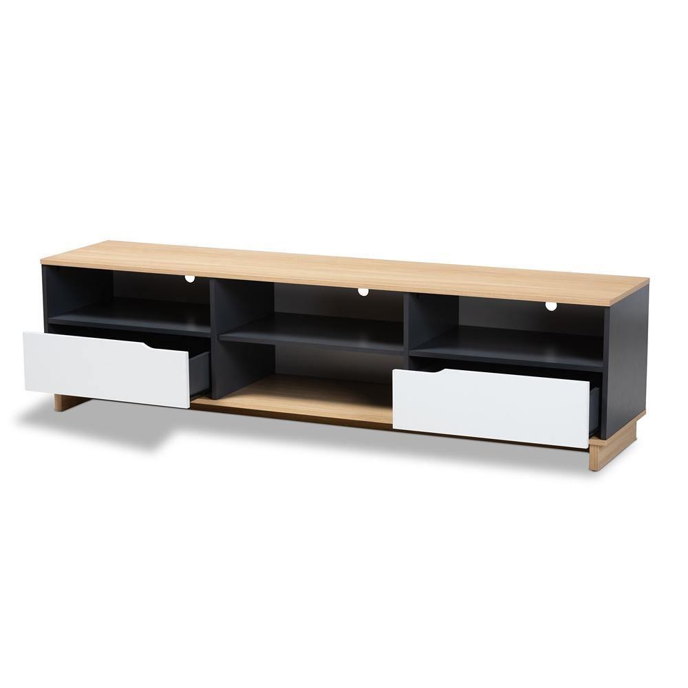 Reed Mid-Century Modern Multicolor 2-Drawer Wood TV Stand FredCo