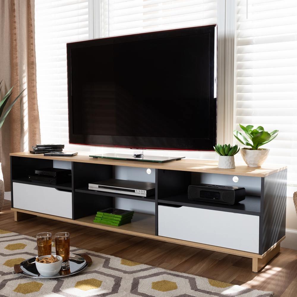 Reed Mid-Century Modern Multicolor 2-Drawer Wood TV Stand FredCo