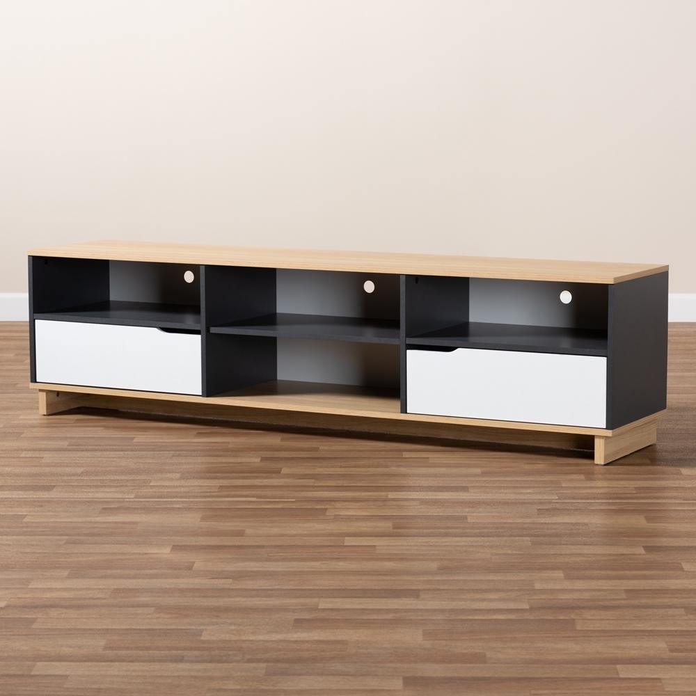 Reed Mid-Century Modern Multicolor 2-Drawer Wood TV Stand FredCo