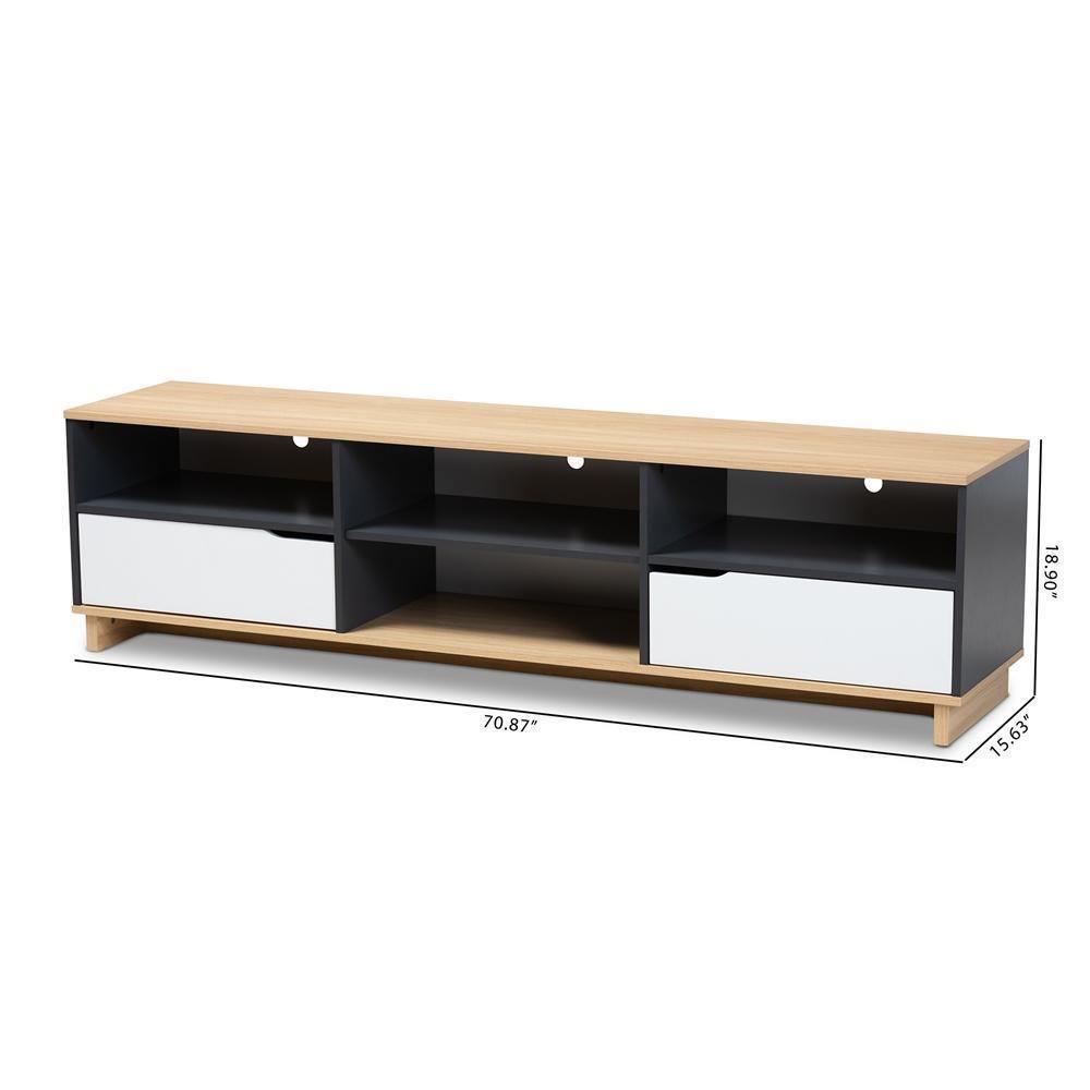Reed Mid-Century Modern Multicolor 2-Drawer Wood TV Stand FredCo