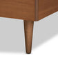 Rin Mid-Century Modern Walnut Brown Finished Wood Twin Size Platform Bed FredCo
