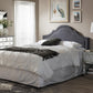 Rita Modern and Contemporary Dark Grey Fabric Upholstered King Size Headboard FredCo